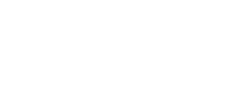 DM Shapewear